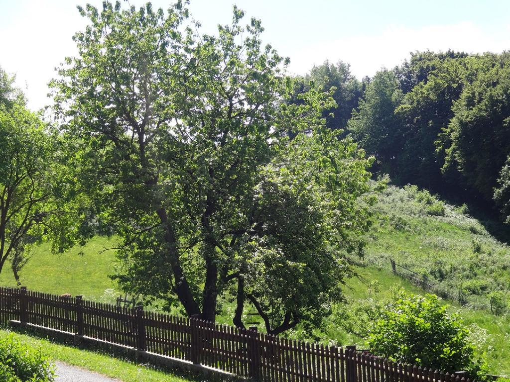 Lauras Landhauspension Medebach
